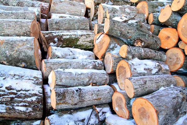 Firewood aheap — Stock Photo, Image