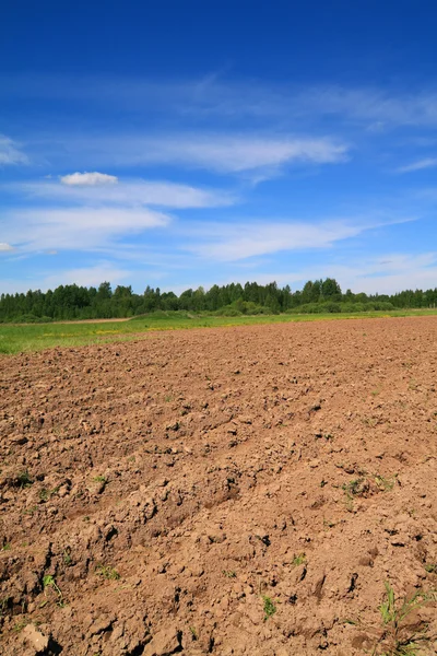 plow field | 图库照片 08 sergey yakovlev #6838598