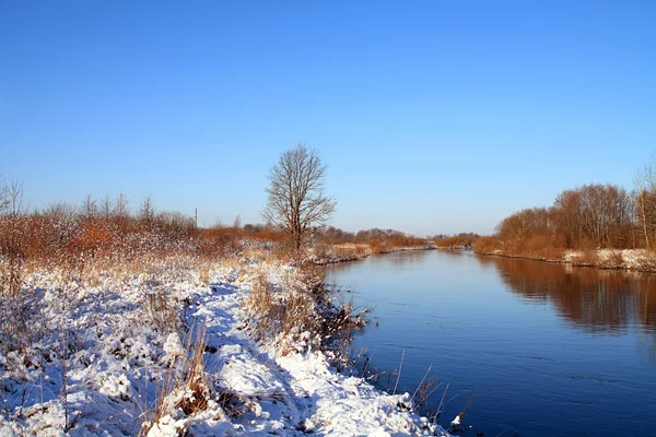 stock image Winter landscape