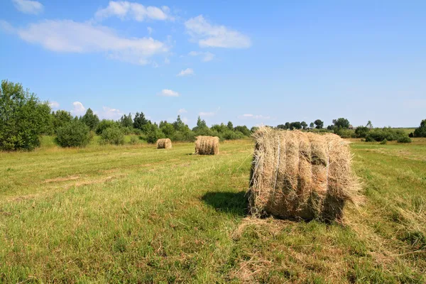 Hay in stapel — Stockfoto