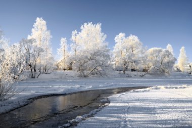 Winter landscape clipart