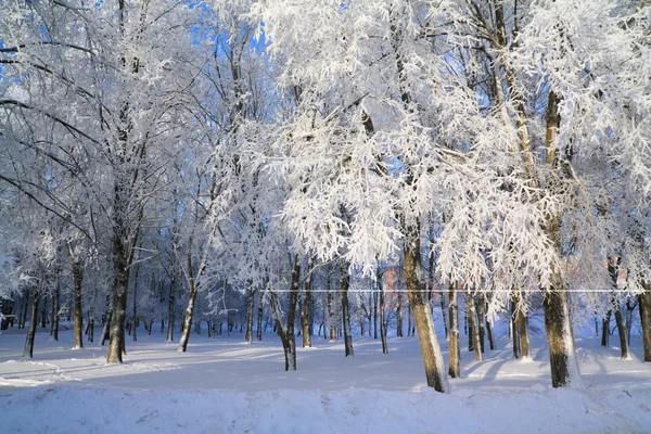 Paisaje invierno —  Fotos de Stock
