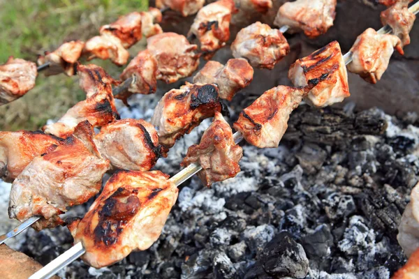 stock image Shashlik