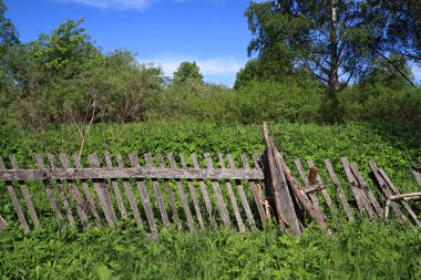 Old wooden fence near farmhouse clipart