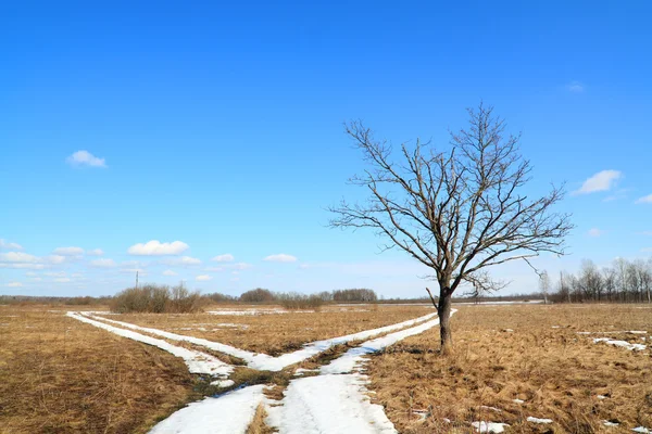 Snow road on field — Stock Photo, Image
