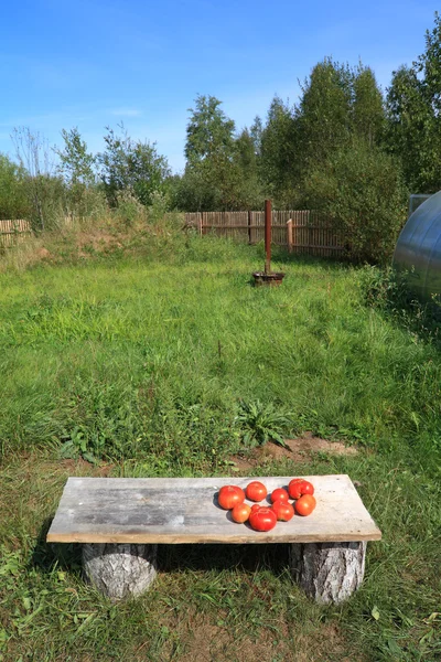 Tomates vermelhos no banco de madeira — Fotografia de Stock