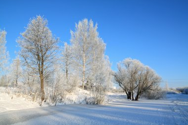 Winter landscape clipart