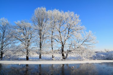 Winter landscape clipart