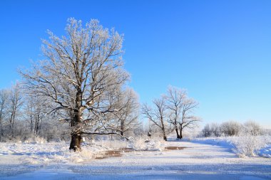 Winter landscape clipart