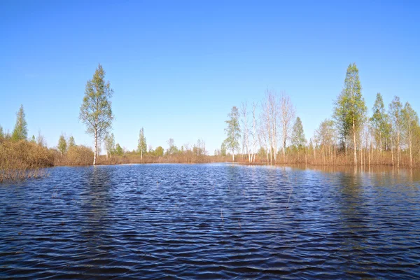 Timber lake — Stockfoto