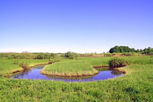 Kleine rivier op groen veld — Stockfoto
