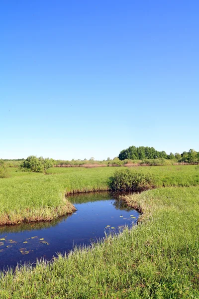 Liten flod på gröna fält — Stockfoto