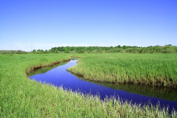 在绿色的原野上蓝河 — 图库照片