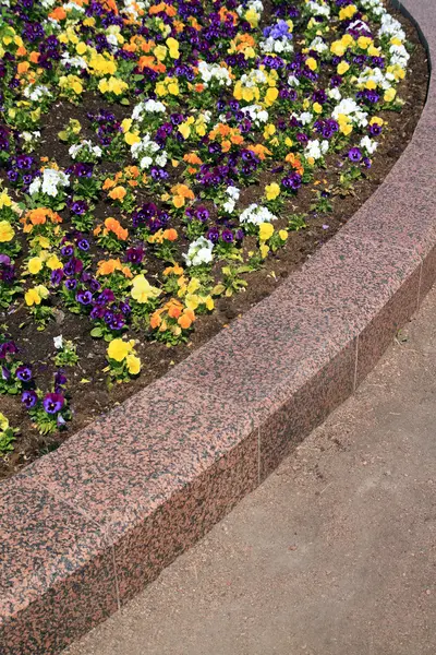 镇草坪上装饰 flowerses — 图库照片