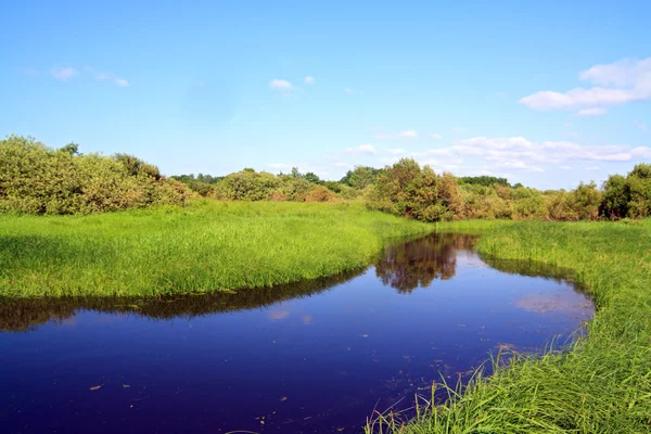Pequeno rio em campo de verão — Fotografia de Stock