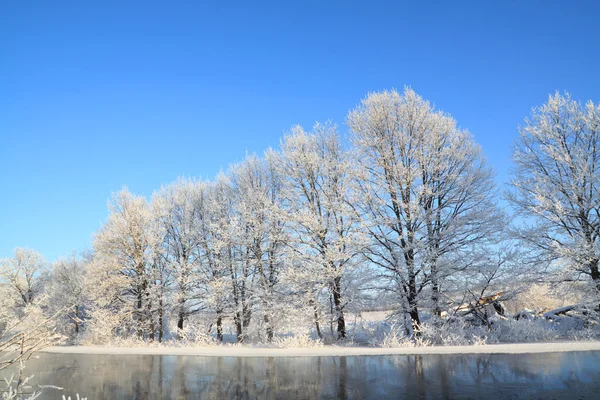 Vinterlandskap — Stockfoto