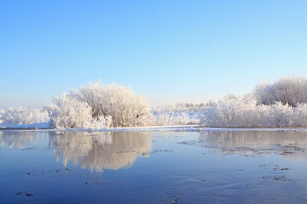 Krajobraz zimowy Obrazy Stockowe bez tantiem