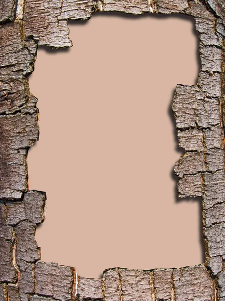 Декоративная рамка из коры головного мозга дерева — стоковое фото