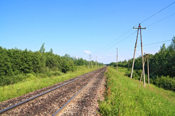 Järnvägen bland gröna trä — Stockfoto
