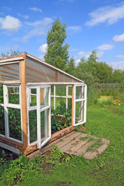 Trä drivhus i sommarträdgård — Stockfoto
