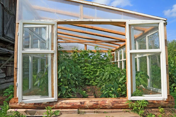 Ξύλινο θερμοκήπιο στο καλοκαιρινό κήπο — Φωτογραφία Αρχείου