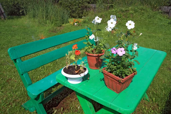 Trädgårdsmöbler i sommarträdgård — Stockfoto