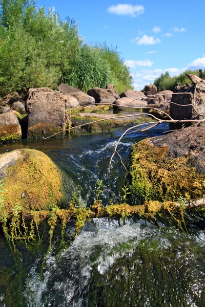 산 강에 큰 돌 — 스톡 사진