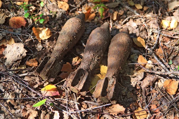 Minas de lança-granadas em ervas — Fotografia de Stock