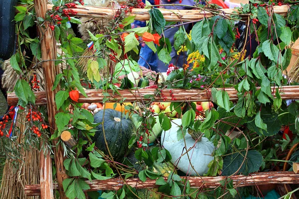 Green pumpkins on rural market — Stock Photo, Image