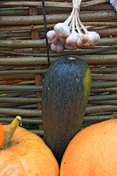Овощной набор возле старого забора — стоковое фото