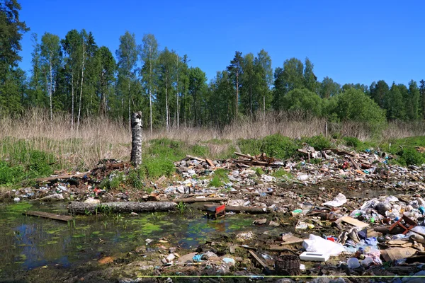 Müllgrube in Holz — Stockfoto