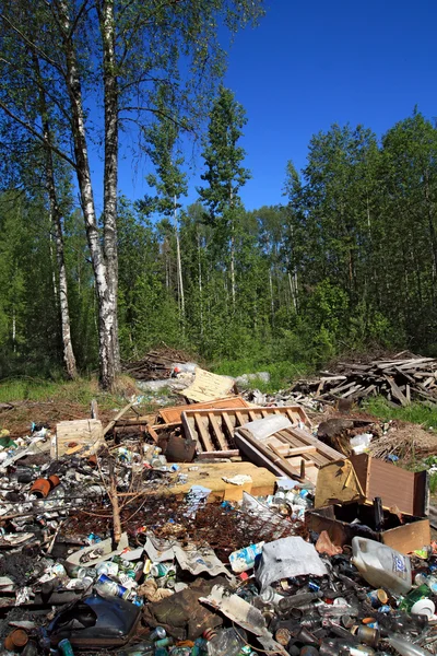 Hoyo de basura en madera — Foto de Stock