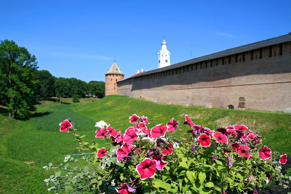 Flowerses na pozadí staré pevnosti — Stock fotografie