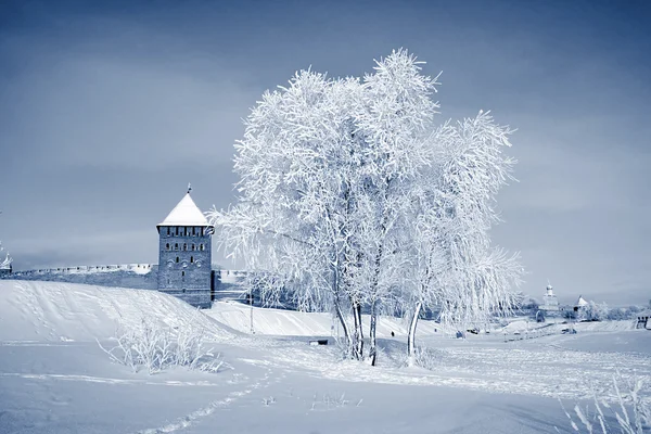Albero nella neve vicino alla vecchia fortezza — Foto Stock
