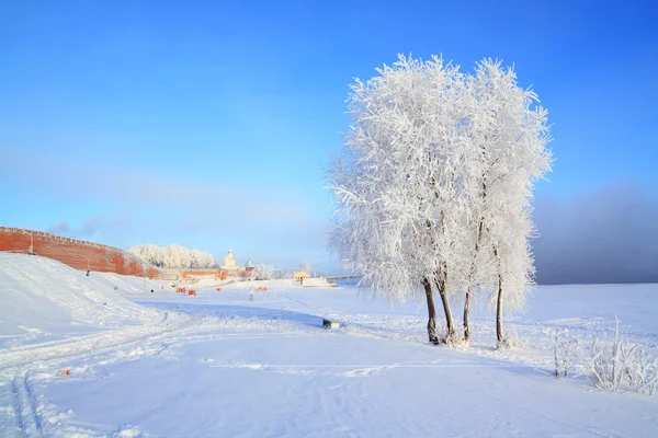 Eski kalenin yakınındaki kardaki ağaç — Stok fotoğraf