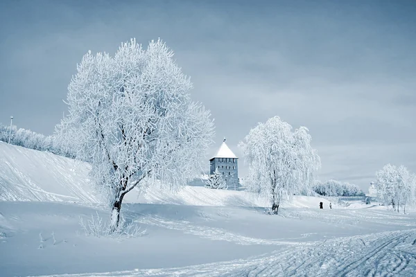 旧要塞近くの雪の木 — ストック写真