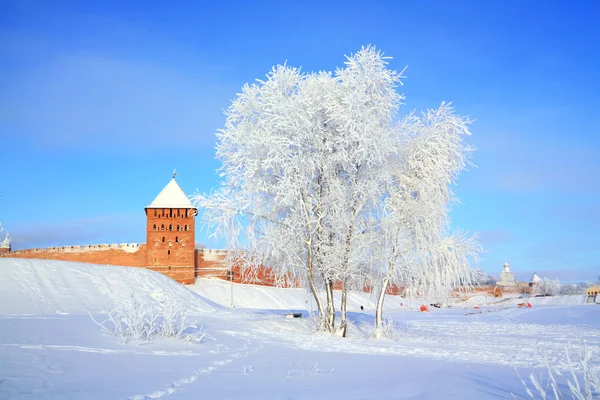 Árbol en la nieve cerca de la antigua fortaleza — Foto de Stock