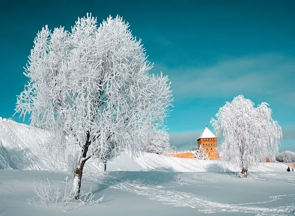 Drzewo w śniegu w pobliżu starej twierdzy — Zdjęcie stockowe