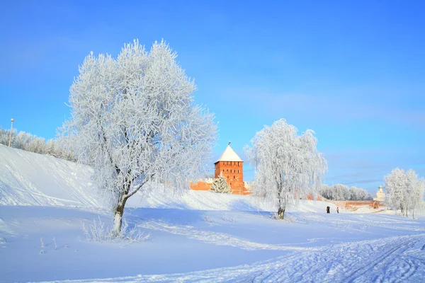 Дерево в снегу возле старой крепости — стоковое фото