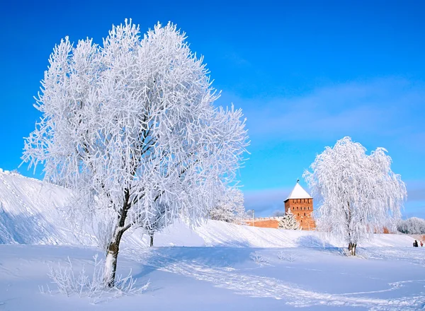 Tree in snow near old fortress — Stock Photo, Image