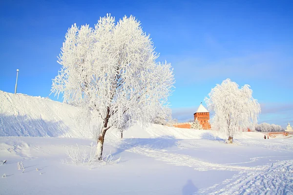 Árbol en la nieve cerca de la antigua fortaleza — Foto de Stock