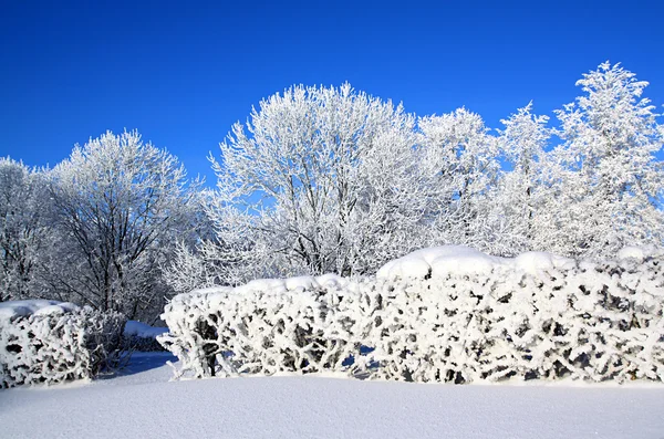 Inverno paisagem da cidade — Fotografia de Stock