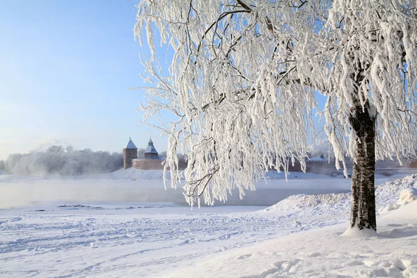 Zimowy krajobraz miasta — Zdjęcie stockowe