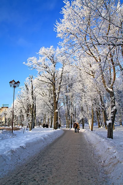Зимний парк — стоковое фото
