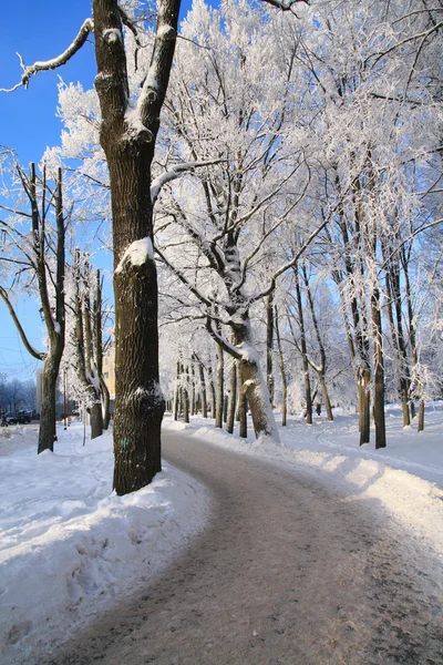 Χειμερινό πάρκο — Φωτογραφία Αρχείου