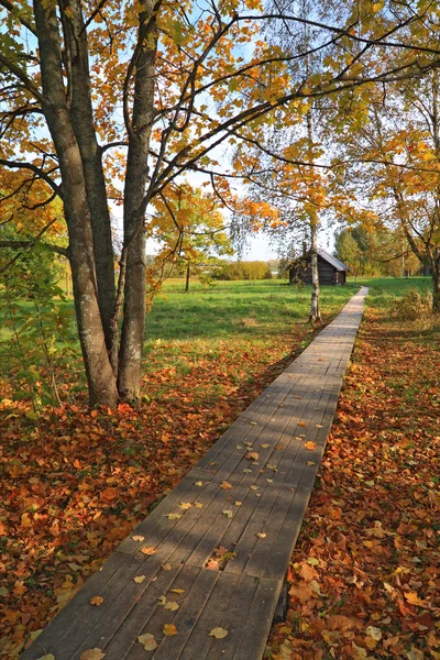 Herbstpark — Stockfoto