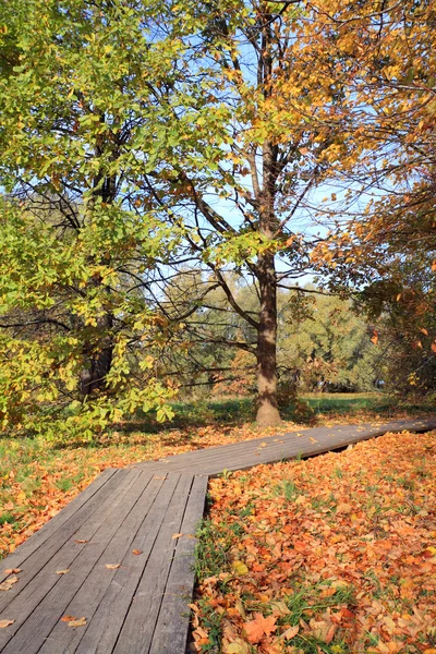 Herbstpark — Stockfoto
