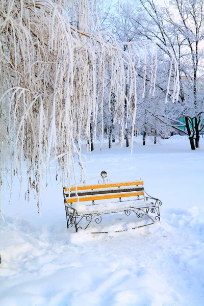 冬公園のベンチ — ストック写真