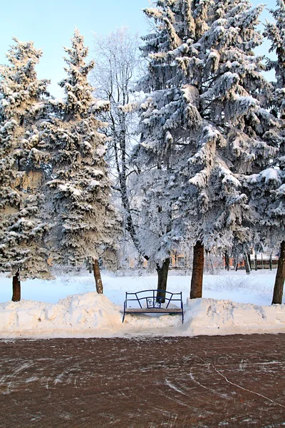 Лавка в зимовому парку — стокове фото