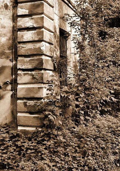 Старый разрушенный дом — стоковое фото